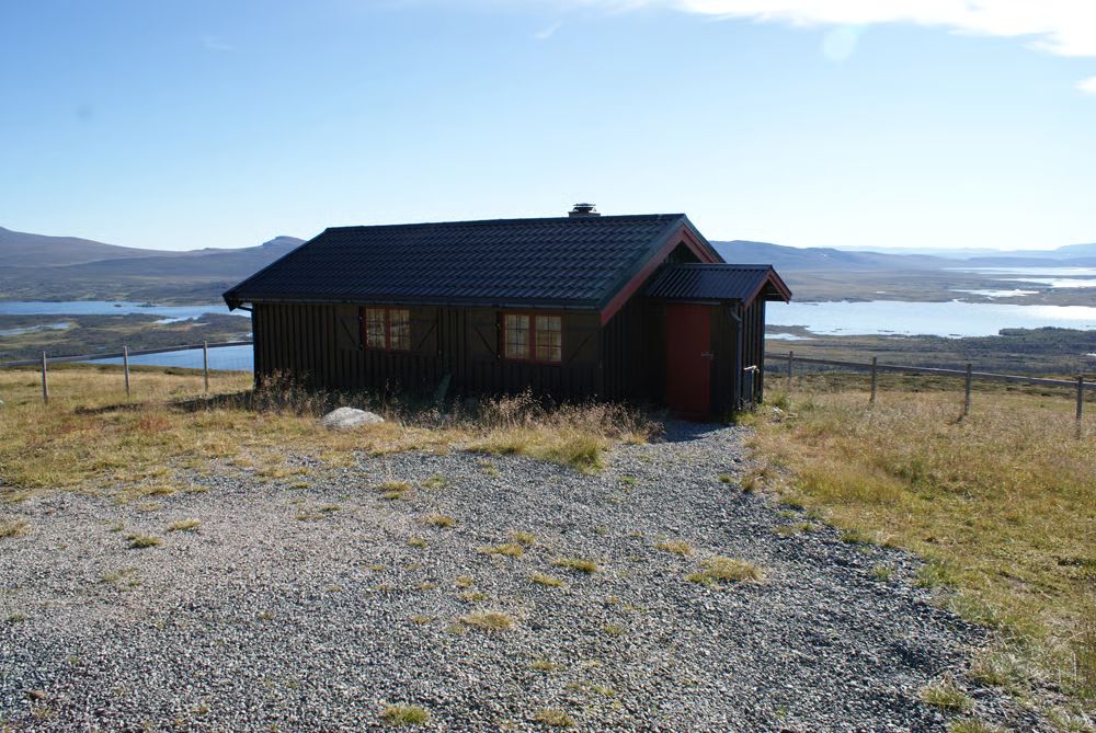 Buhøbua